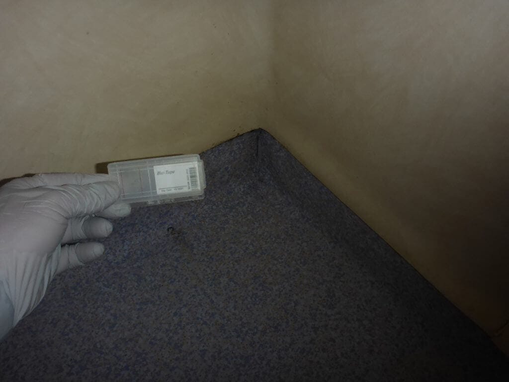 Mould surface testing at an aged care facility by hazmat plus trained staff